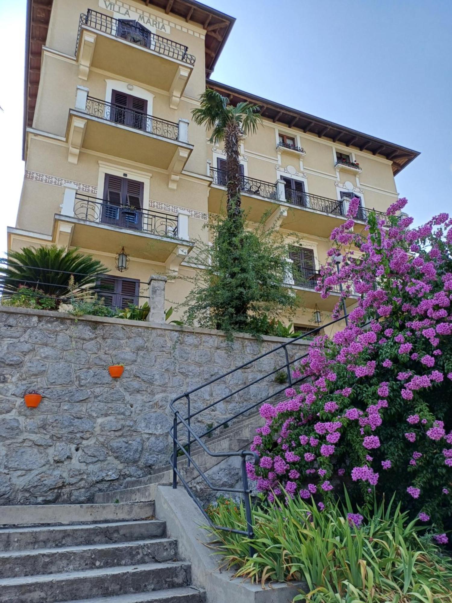 Villa Marija ロヴラン エクステリア 写真
